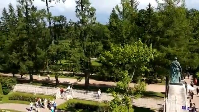 Бабуин в Царском Селе смотреть онлайн