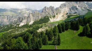 2025 год в телевидений