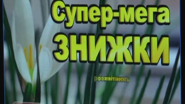 телебуква смотреть онлайн
