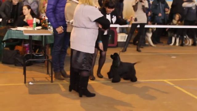МКС. 07.12.14. Минск. MILAS SHARMING OPERATIVNAY RAZRABOTKA смотреть онлайн