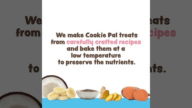 COOKIEPAL US 10oz смотреть онлайн