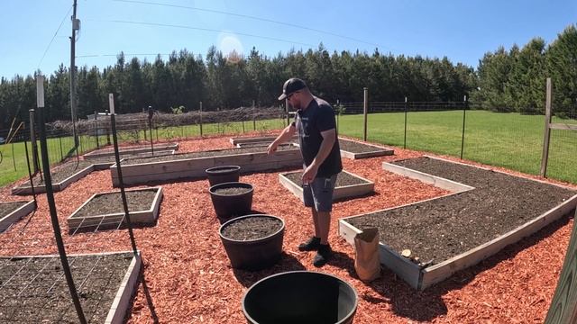 Planting Potatoes In Buckets Or Tubs! смотреть онлайн