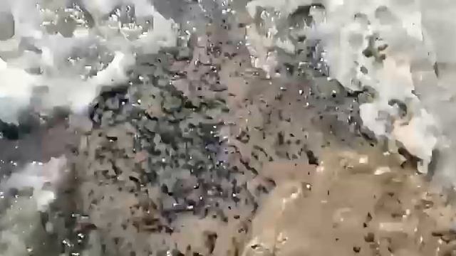 Мини-Vlog/Настя пыталась поймать голубя/Весна смотреть онлайн