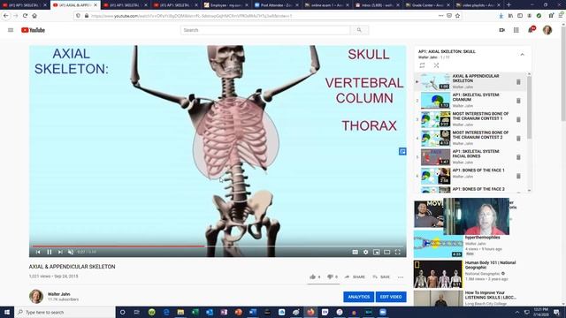 the skeletal system смотреть онлайн