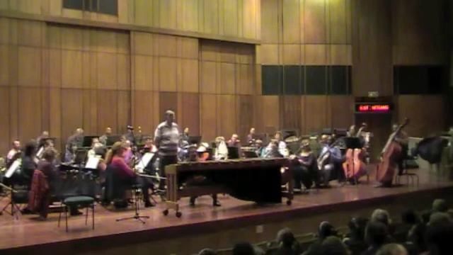 Alex Jacobowitz & the Johannesburg Festival Orchestra, July 28, 2009 смотреть онлайн