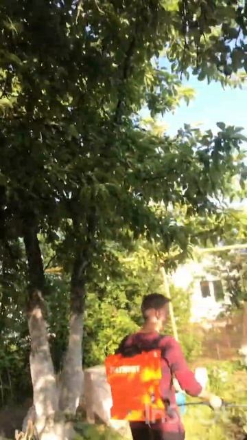 Обработка растений от тли и других вредителей смотреть онлайн