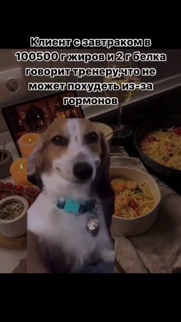 тг:siberia_bear_fit #качалка #gym #рекомендации #бодибилдинг #рек #зож #мышцы #набормассы #похудеть смотреть онлайн