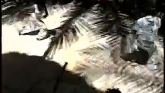 3º Ginga Legal 2008 - Capoeira Brasil Mestre KIM - Parte 3 смотреть онлайн