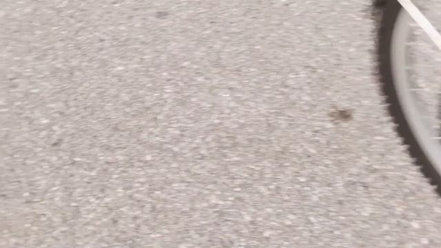 -Vil ha din gamle skolesekk смотреть онлайн