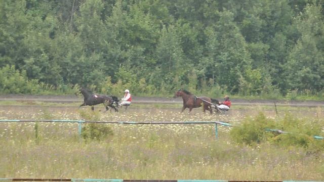 10.08.2019 г. 2-й заезд 3-х лет смотреть онлайн