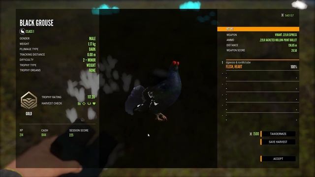 Revontuli Coast New Multi Mounts - theHunter Call Of The Wild смотреть онлайн