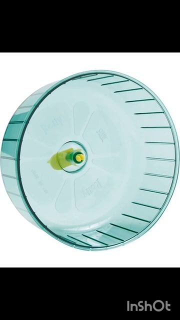 у кого есть хомяки поймут #рек смотреть онлайн