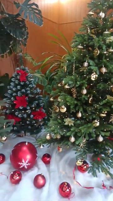 Сказочный новогодний елочный лес смотреть онлайн