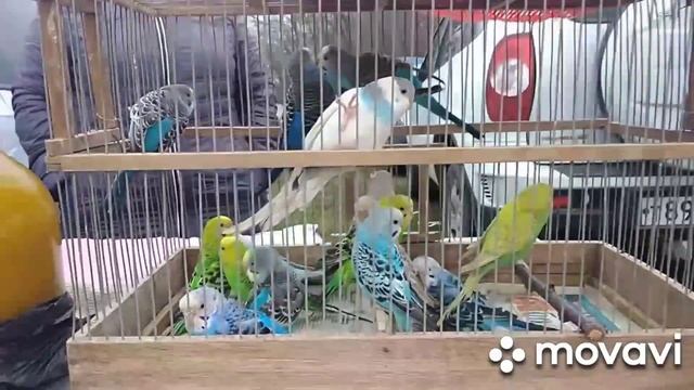 Путешествие удалось на славу🤩🤩🤩🤩 смотреть онлайн