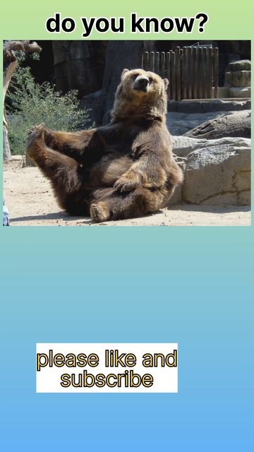 fact 86, fast running of grizzly bear смотреть онлайн