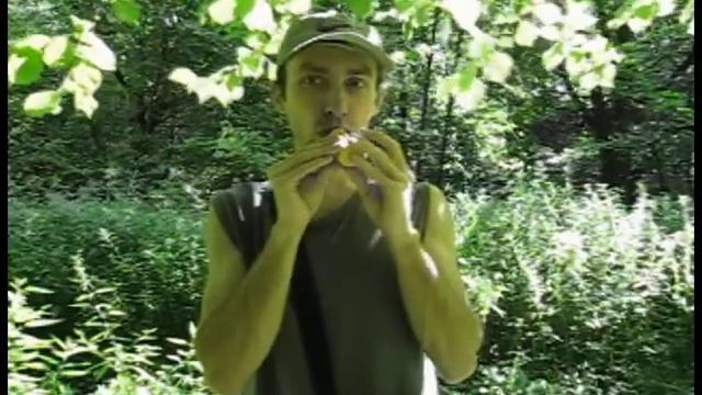 Окарина Липовая тональность F в лесу | Ocarine Lime tone F in the forest смотреть онлайн