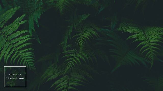 [Copyright Free Music] Lofi Focus Beat Free for Study | Camouflage смотреть онлайн