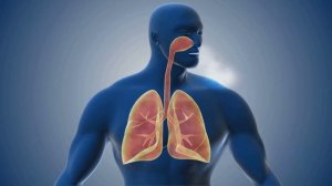 Протерозойская эра Эволюция жизни и кислородная катастрофа