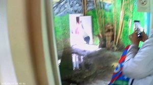 Посетили парк флоры и фауны "Роев ручей" города Красноярск.