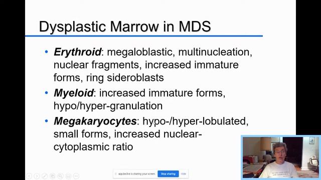 SDSF Live - Hematology 101 смотреть онлайн