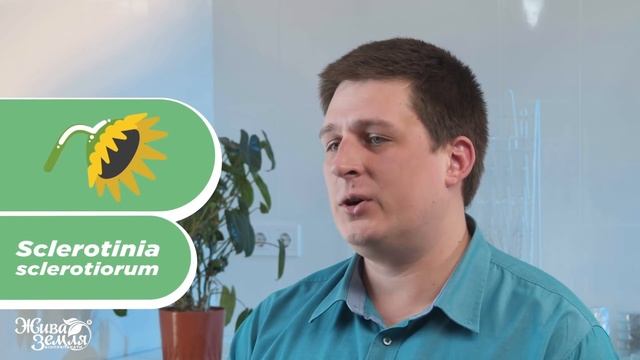 Хвороби рослин та їх збудники (1 частина) | ПРО МІКРОБИ ПРОСТО | 6 серія смотреть онлайн