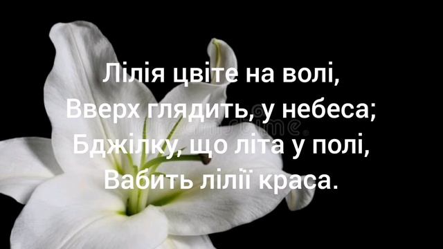 Пісня: подивись на берег річки смотреть онлайн