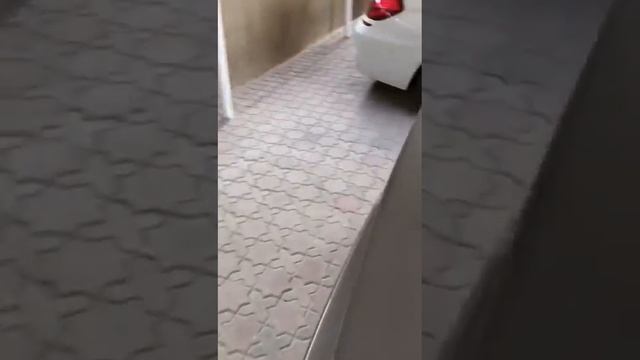 URAS S14 Silvia Kouki Walkaround - Real Street смотреть онлайн