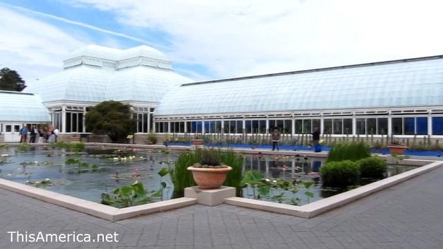 New York Botanical Garden смотреть онлайн