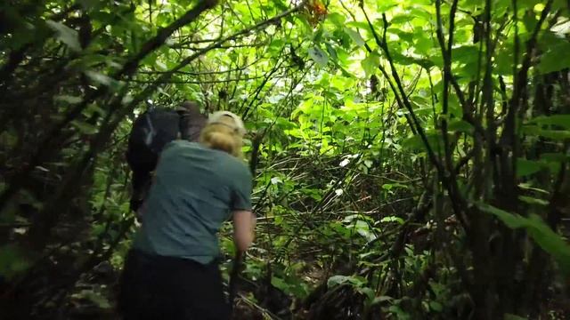 Gorilla Trekking in Uganda | Africa Odyssey смотреть онлайн