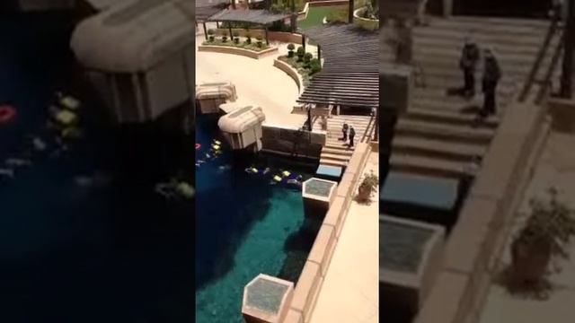 Snorkelling at Atlantis, Dubai смотреть онлайн