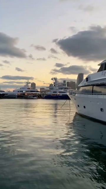 SIDE BY SIDE SuperYachts | Mangusta 110ft | Platinum 121ft | Miami Beach смотреть онлайн