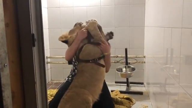 Симона в Москве смотреть онлайн