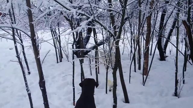 20160201 0841011 смотреть онлайн