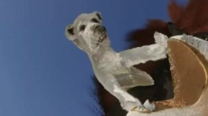 Мультфильм король лев.King lion