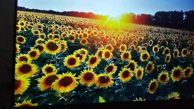 13 июля 2022 г. смотреть онлайн