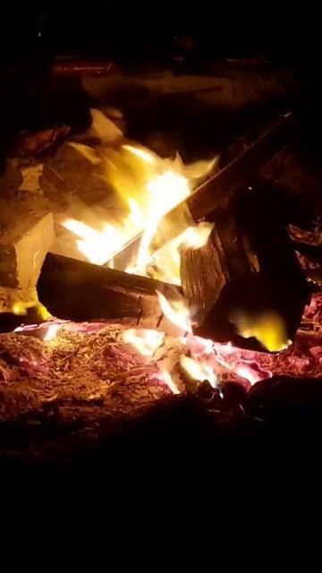 костёр ночью на рыбалке. отдых на природе. смотреть онлайн