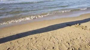 Поездка к морю и проверка квартир.