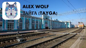 Тайга (Кемеровская область - Кузбасс). Прогулка по городу 2023 год.