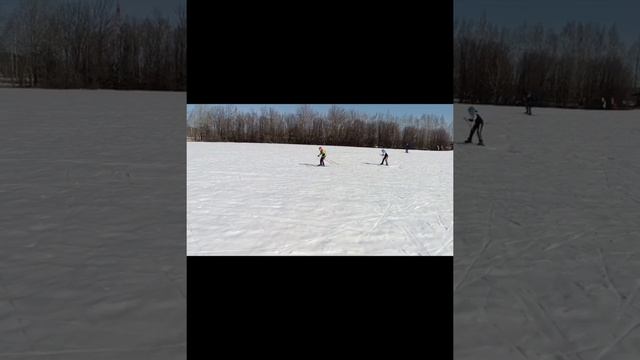 Палыч вперёд!