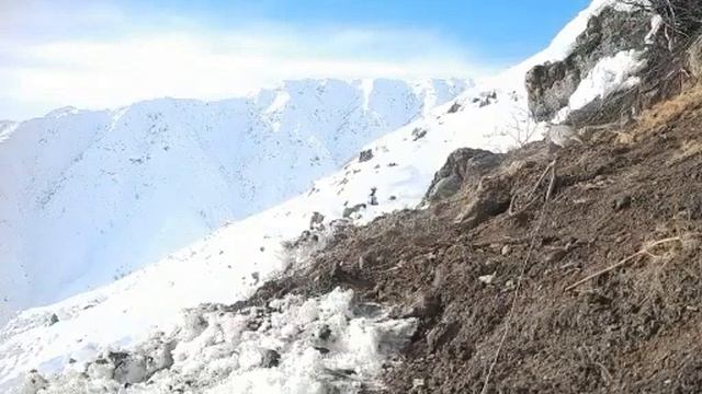 Охота на куропатка صيد الحجل في فصل الشتاء смотреть онлайн