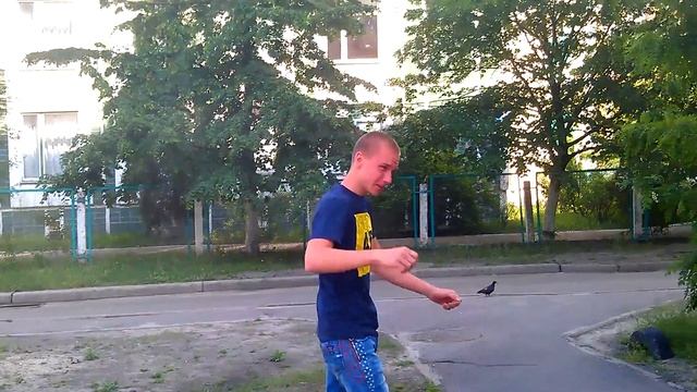 Кобра 1Н смотреть онлайн