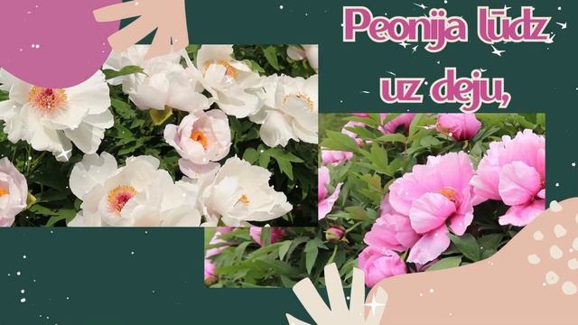 GUNITA, Burvīgs Sveiciens Tev Vārda Dienā! смотреть онлайн