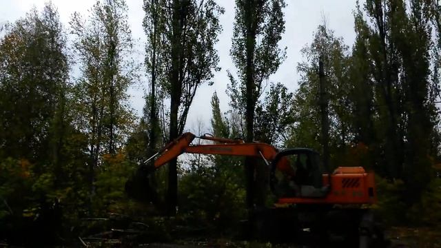 Расчистка территории от тополей смотреть онлайн