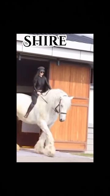 This is kinda a bad Edit… смотреть онлайн