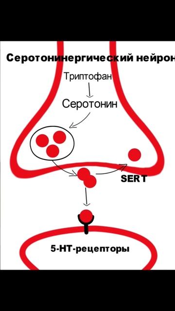 КАК РАБОТАЮТ АНТИДЕПРЕССАНТЫ? смотреть онлайн