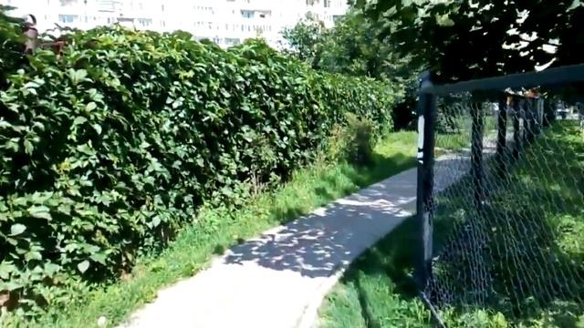 Прогулки по Мытищи 1й выпуск смотреть онлайн