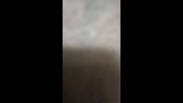 жизнь моли moth life смотреть онлайн