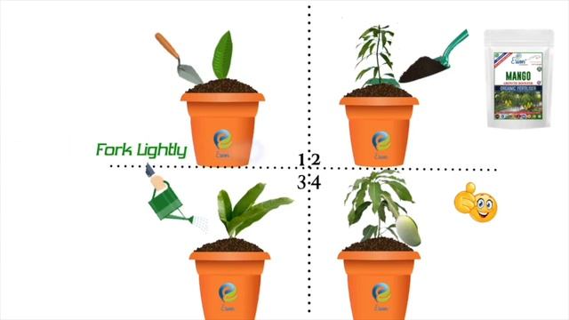 Erwon® Mango Growth Booster Powerful Organic Fertilizer for Overall Growth of Mango Plants смотреть онлайн