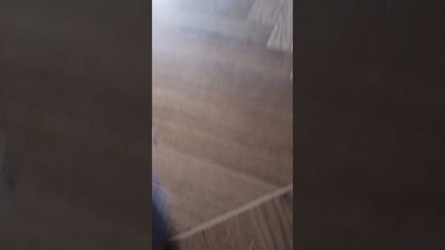 СУПЕР МОРОЖЕНОЕ ДЛЯ ХОМЯКА ХОМКИ смотреть онлайн