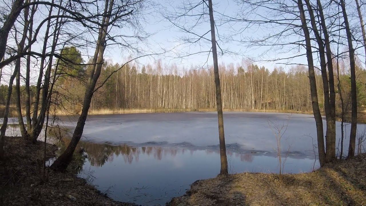 GOPR2279 смотреть онлайн